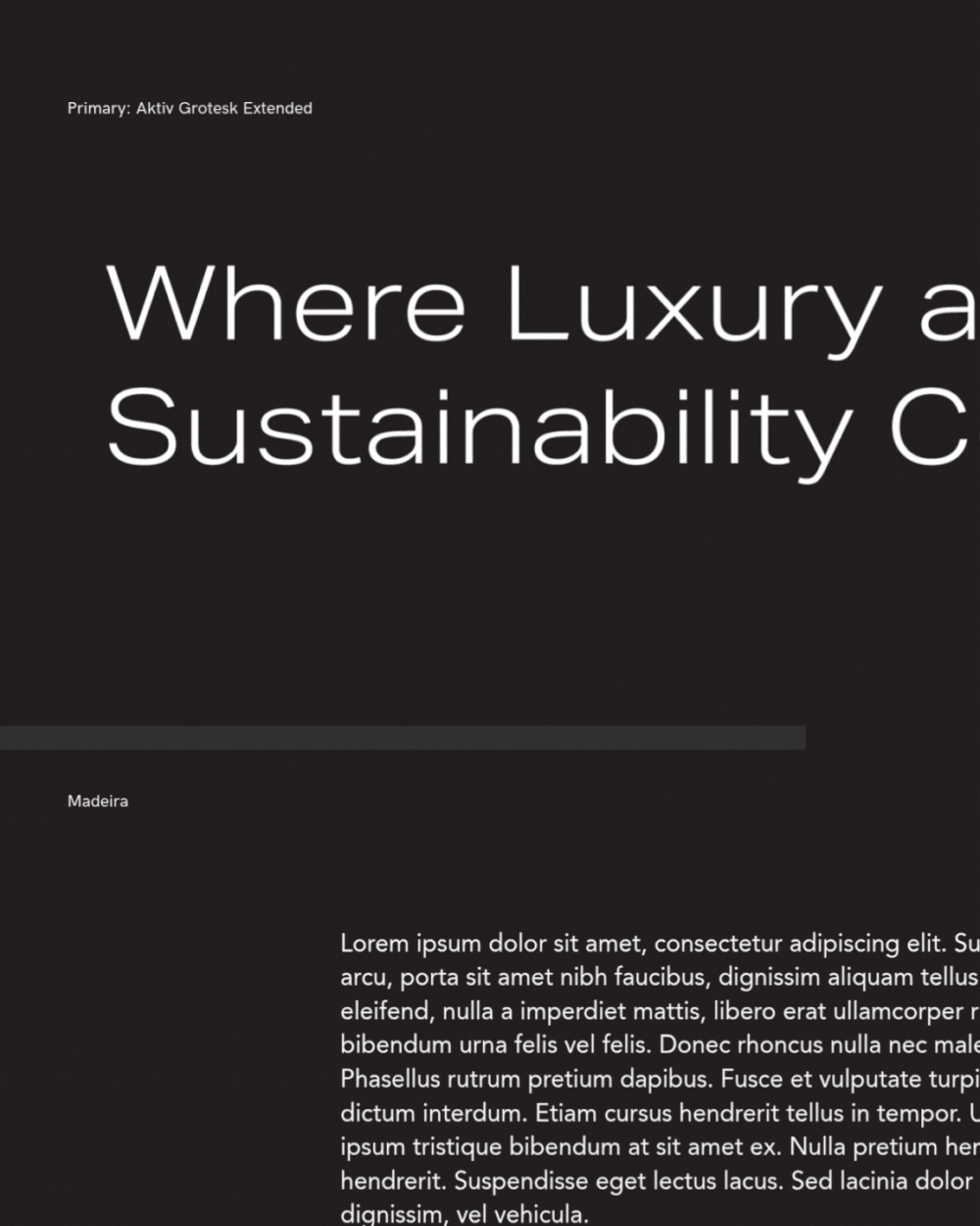 2. 3+SM+Madeira+Portfolio+Piece+Website