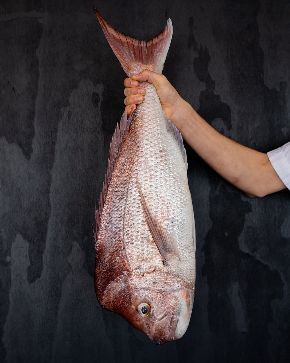 smith-madden-lucios-marina-1