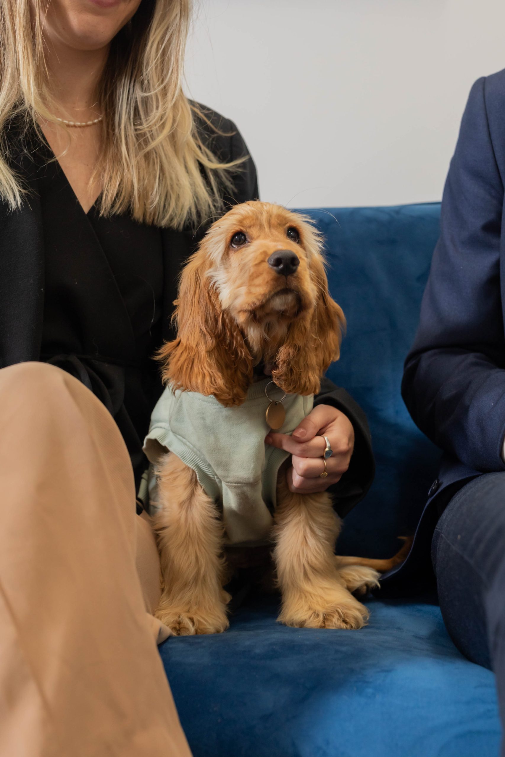 11. Pippa Coleman Family Law-102